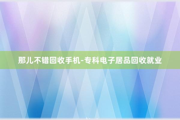那儿不错回收手机-专科电子居品回收就业